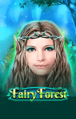 Fairy Forest