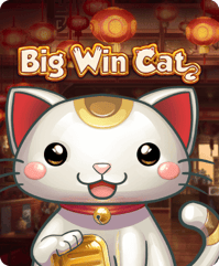 Big Win Cat
