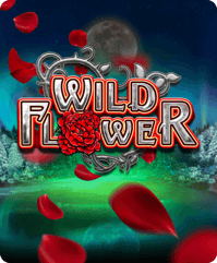 Wild Flower