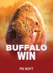Buffalo Win