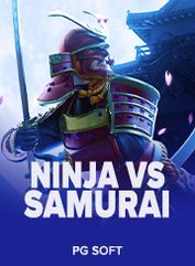 Ninja vs Samurai