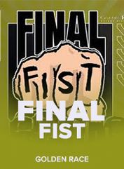Final Fist